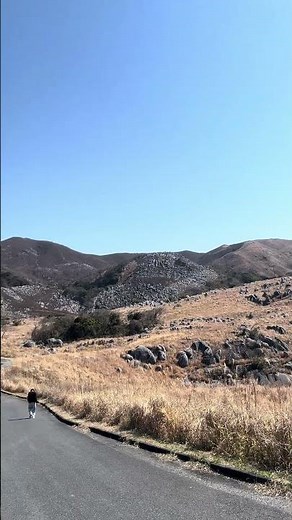 【福岡の絶景】日本三大カルスト！天然記念物「平尾台」の景色が壮大すぎた！#平尾台 #福岡観光 #絶景スポット #カルスト台地 #日本三大カルスト #福岡ドライブ #ハイキング #大自然 #天然記念物