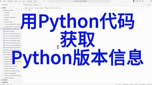 如何在Python代码中得到当前Python运行环境的版本信息