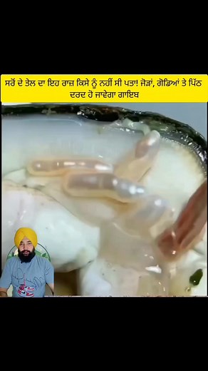 3.2M views · 35K reactions | Pain Relief oil #PunjabiHealth | officialshergill1761 | Facebook