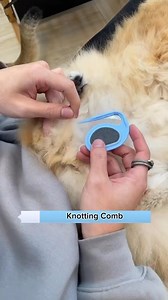 3.4K views · 15 reactions | Grooming Magic: Your Long-Haired Pet's Best Friend. Want one? Check the comment section! | Beautiful cats | Facebook