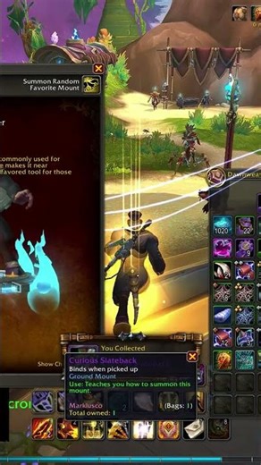 Did I Just Get a Rare Mount?