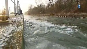 Avec le froid, les péniches et les bateaux sont pris au piège sur les canaux de la région.... 🚤 Alors, ce matin, plusieurs brise glace ont été mis en action dans l'Aisne pour les libérer... Vous les voyez sur le canal de l'Oise où, à certains endroits, la glace a atteint les 10 centimètres d'épaisseur. ►http://bit.ly/2kBGCbx | France 3 Picardie