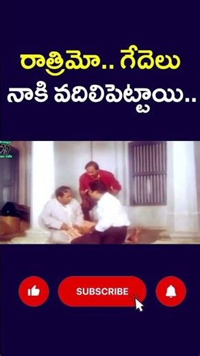 రాత్రి ఏమో.. గేదెలు నాకి వదిలిపెట్టాయి..| #buffalo #brahmanandam#night#funny#comedy #telugucinecafe