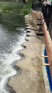 Colchester City Council on Reels