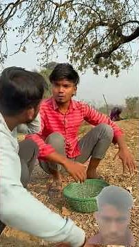 😝COMEDY FULL SHORTS VIDEO # trees #trees #. shorts #video