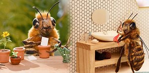 Viral 'bee' becomes latest Instagram sensation