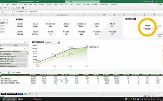 Excel Dashboard商务数据分析 看板交互演示