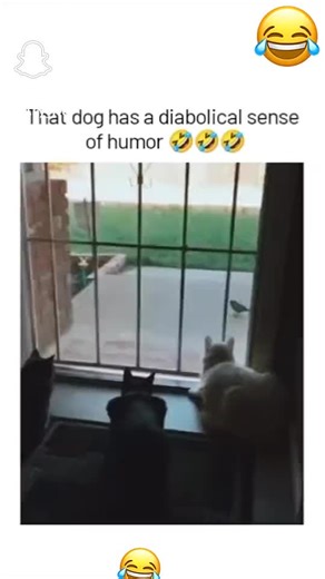 COREY’S FASHION HUB (@coreysfashionhub)’s videos with original sound - COREY’S FASHION HUB