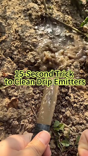 💧 Unclog Your Drip Emitters in Just 15 Seconds! Clogged emitters can ruin your irrigation flow and waste water — but this quick trick will fix it fast! 🚿 No tools, no stress — just a simple #IrrigationHack to keep your drip system running smoothly. Perfect for farmers, gardeners, and anyone who loves efficient watering! 🌱 Watch the full video and try it yourself — your plants will love the steady water flow again! 🌾 🌐 www.intel-irrigation.com 📞 Tel: 86 138 2181 7895 📧 Email: info@intel-ir