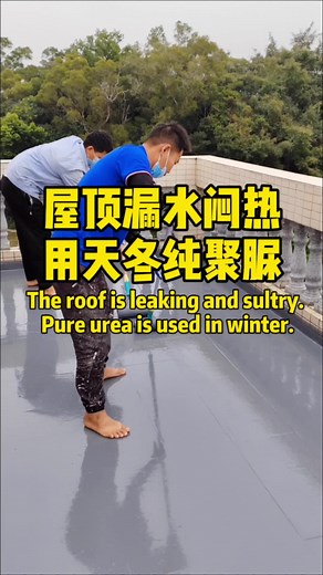 Polyurea Waterproof Coating for Roof Leakage Repair