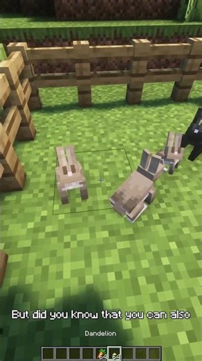 Four MORE things about minecraft you didnt know! #minecraft #minecraftshorts #fyp