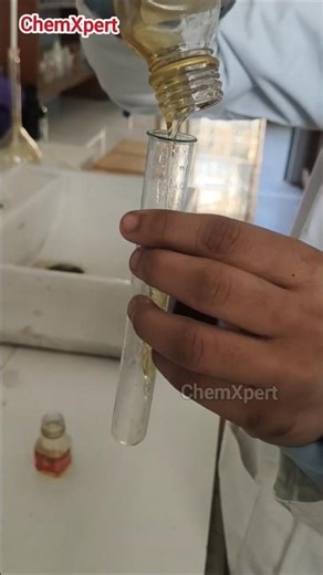 Analysis Of Honey | Tollens Test | Class 12 Chemistry Practical #chemxpert #experiment #chemistry