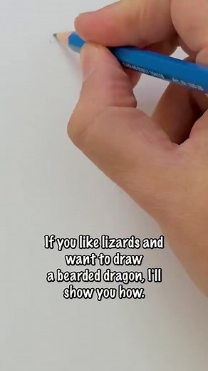 1.4K views · 42 reactions | How tu draw Lizard 年️#fedoralifestyle...
