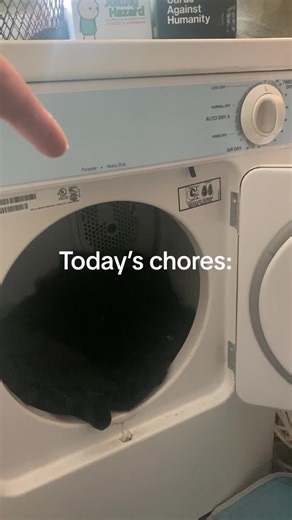 Laundry chores as a #servicedog 💕