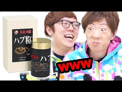 I gave Seikin some snake powder and he burst out laughing lol