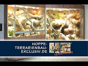 2 Terrarien für Bartagamen mit Durchgang