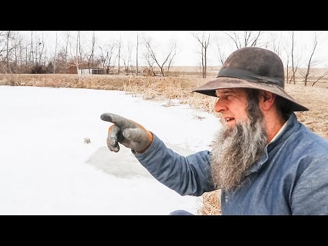 Hidden DANGER on the HOMESTEAD! OFF GRID | HOMESTEADING