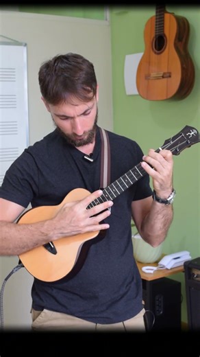 Solo arrangement on the ukulele - different styles