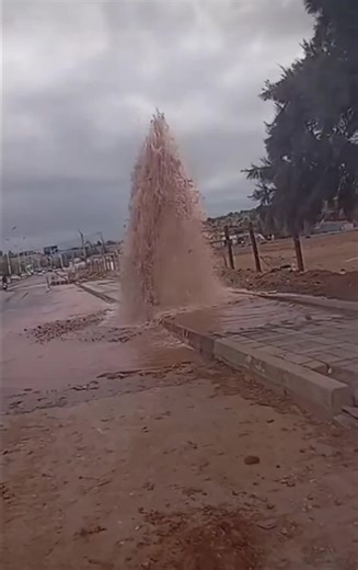 Vidéos de Alg_fleur (@alg_fleur) avec الصوت الأصلي - Alg_fleur