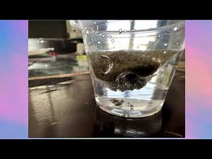 Dr. Pi presents: DIY Magic Sand Experiment! Make Hydrophobic Sand with Shoe Spray 🏖️💧| STEAM Project