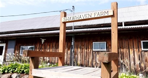 A farm's final fall; Shawhaven farm in Mason is saying goodbye after the season