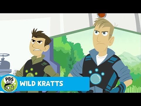 WILD KRATTS | Red Panda Present | PBS KIDS