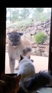 8.9M views · 10K reactions | What would you do?! | Tom Mabe | Facebook