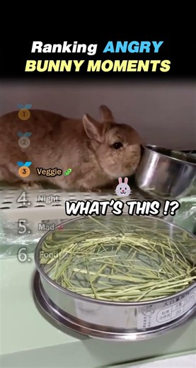 Ranking ANGRY BUNNY MOMENTS Core Moments!! 😡🐰