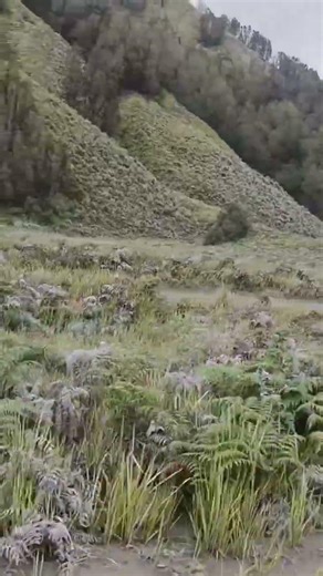 #bromo #mountbromo #bromoadventure #bukitteletubbies #eastjava #holiday #indonesia #jeeptour