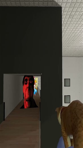 My Cat Meets A Killer Clown On The Sky Bridge 😨🤡