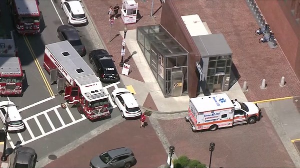 Man killed in Blue Line incident