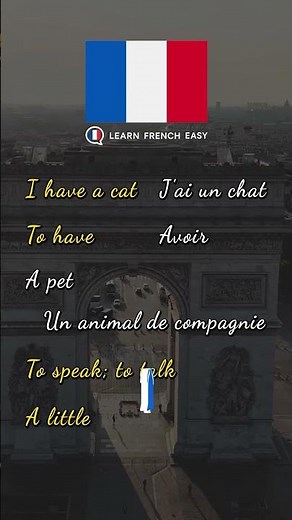Learn French (Vocabulary) Ep 4 🇫🇷✨Apprendre Le Français | #LearnFrench #FrenchForBeginners #Shorts