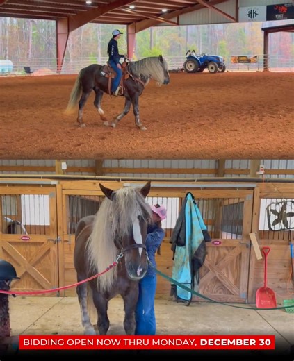 88 reactions · 11 shares | ❛❛혓혢혴 혝혦혨혢혴 혪혴 혵혩혦 혙혰혭혭혴 혙혰혺혤혦 혰혧 혩혰혳혴혦혴,...