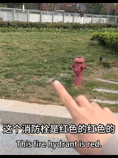 Master daily Chinese in seconds! Simple, practical, and easy to remember. #DailyChinese #MandarinLesson #ChineseTips #LearnMandarin #StudyChinese