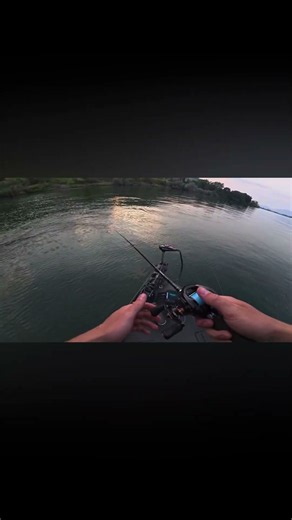 Subscribe for more! #fishing #bassfishing #trout #salmon #smallmouth #fish #fishingvideo #fyp #mega