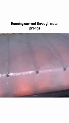 Candy on Instagram: "This 23-second clip is a blast from the past—literally. It showcases the 1970s Presto Hotdogger, a quirky electric appliance that cooks hot dogs by running current through metal prongs inserted into each end. Plug it in, watch the lights glow, and moments later the hot dog steams itself from the inside out. Why it fascinated millions: Wildly unconventional design (electricity as the heat path) Instant visual feedback with glowing indicators Pure retro vibes—chrome, plastic,