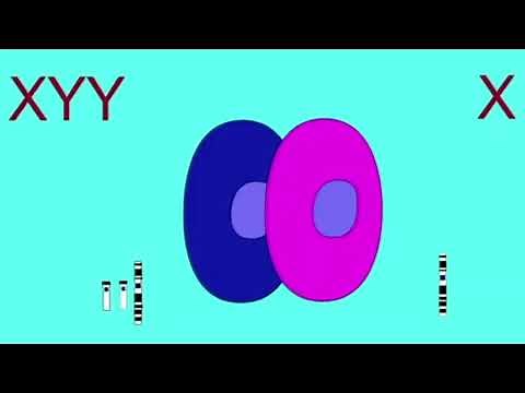 AMBIGUOUS GENITALIA in infants & diverse causes