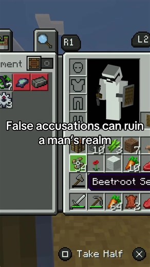 False Accusations in Minecraft Realms: The Impact