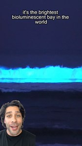 18K views · 207 reactions | The Ocean That Glows! | How to Survive Show | Facebook