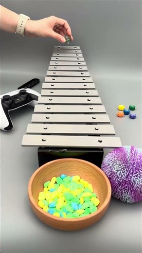 #Xylophone Beats That Echo Through The Silence ✨