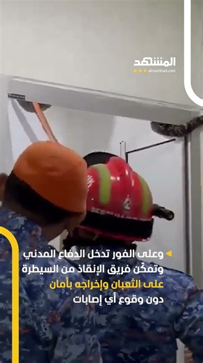 ثعبان هائل الطول يبلغ خمسة أمتار يختبئ في سقف منزل #اخبار_المشهد #ماليزيا #المشهد