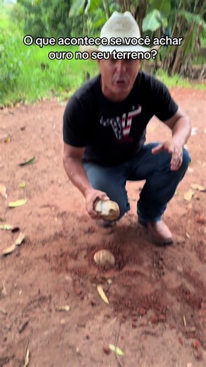 O que acontece ao achar ouro no seu terreno?