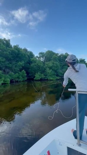 Campeche Tarpon on TikTok