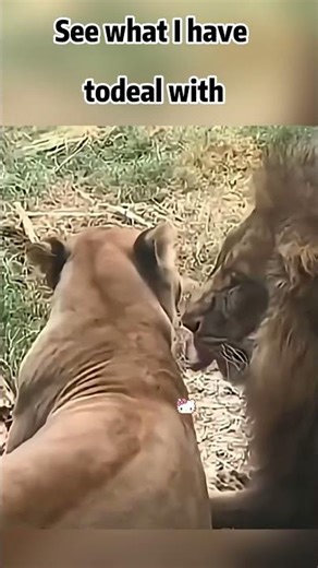 🤣👌2026 pov Must-Watch Crazy Clips Compilation #humor #fypシ #pov #fyp #foryou 😍😜