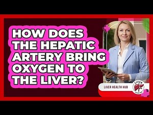 How Does the Hepatic Artery Bring Oxygen to the Liver?
