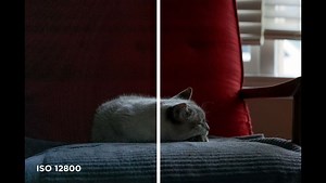 Hasselblad's New Mobile App Feature Is Incredible | Fstoppers