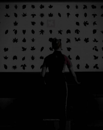 Clever Clove and Foxface: A Strategic Alliance in The Hunger Games