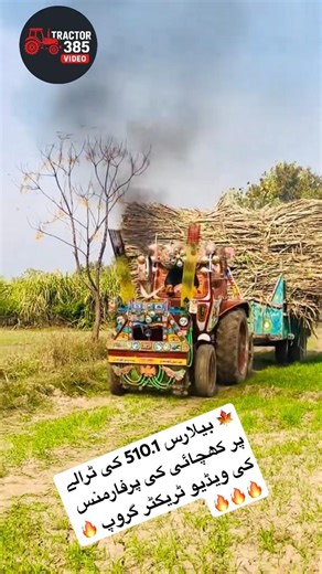 Belarus 510.1 Tractor Pulling a Loaded Trolley on a Trailer 🚜💪 #Agriculture #RuralLife #farmwork