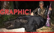 如何处理一头野猪 {GRAPHIC} How to Butcher and Cape a Wild Bar Hog! D
