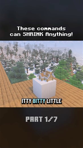 1 | Look at this TINY house! #minecraft